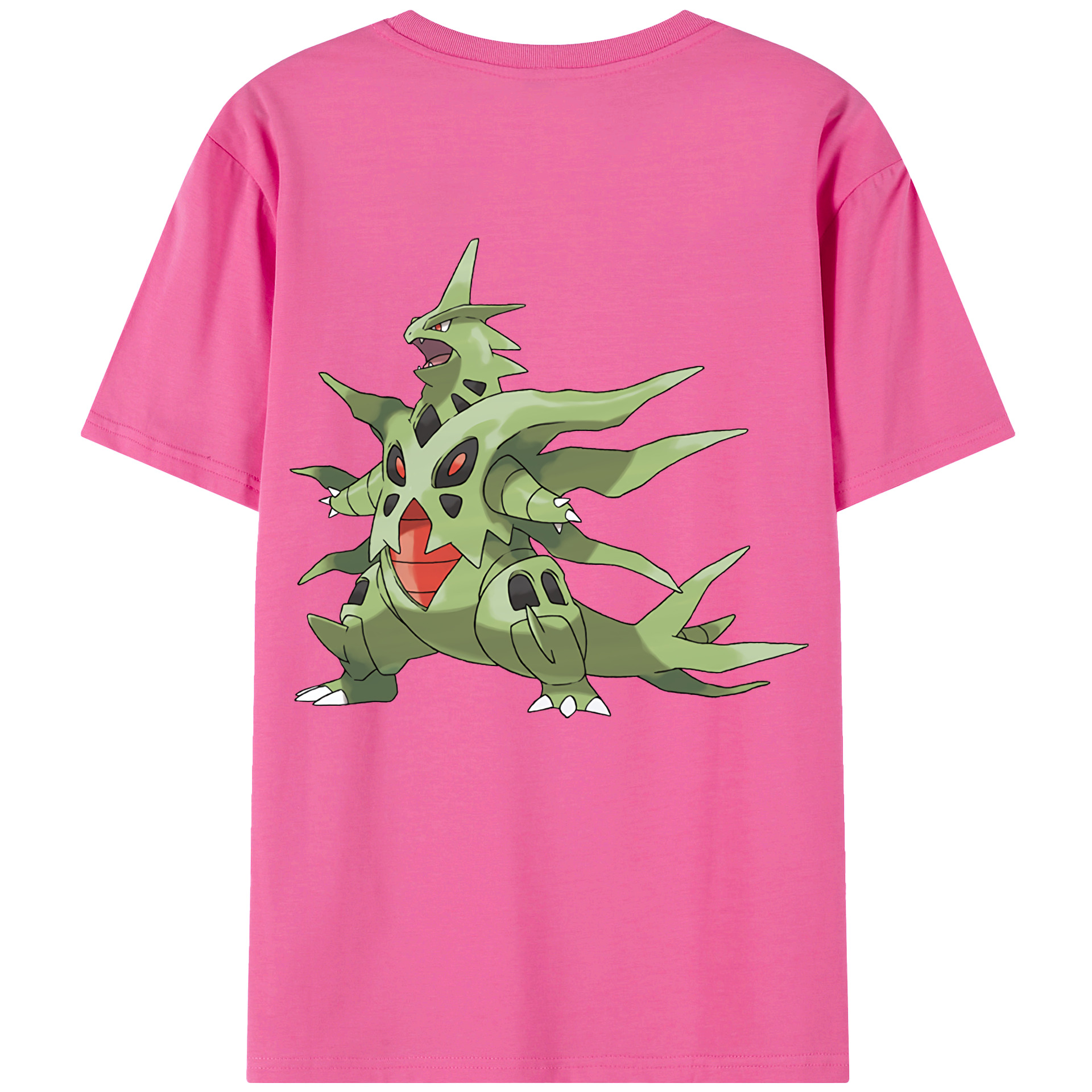 （画像用） ポケットモンスター Pokémon レディース半袖Tシャツ(バックプリント)